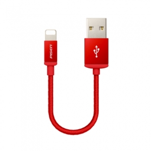 Cáp Lightning Pisen Double Sided USB 200mm